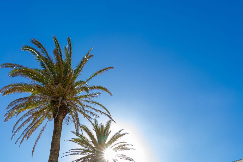 2024-04-18_17_45_43 893A0904.jpg