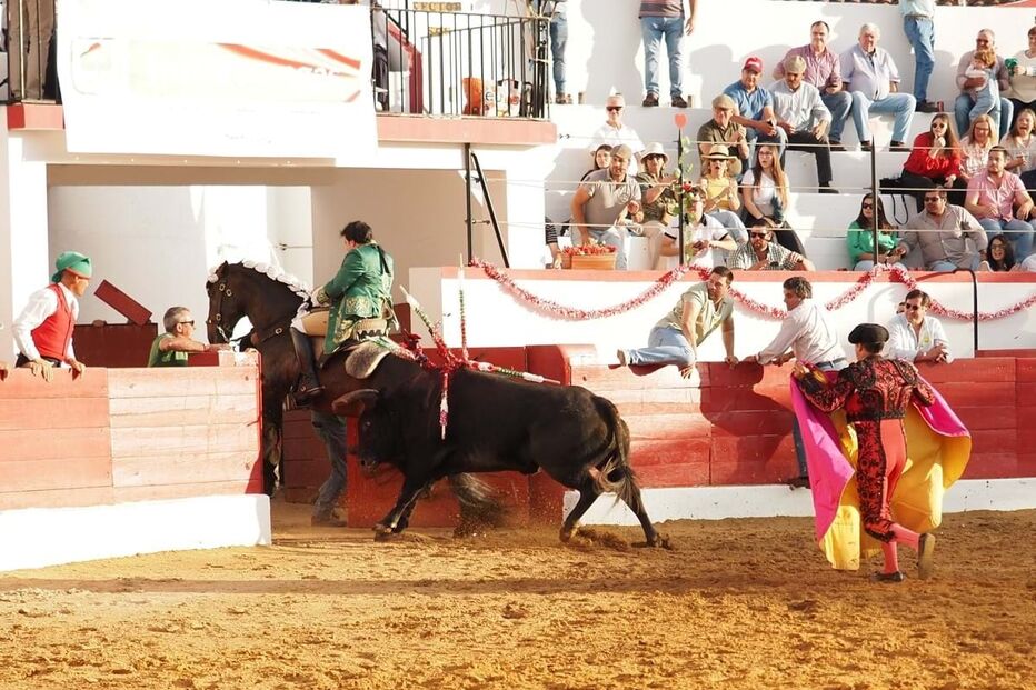 O cavaleiro Luís Rouxinol conseguiu evitar que o touro escapasse da praça
