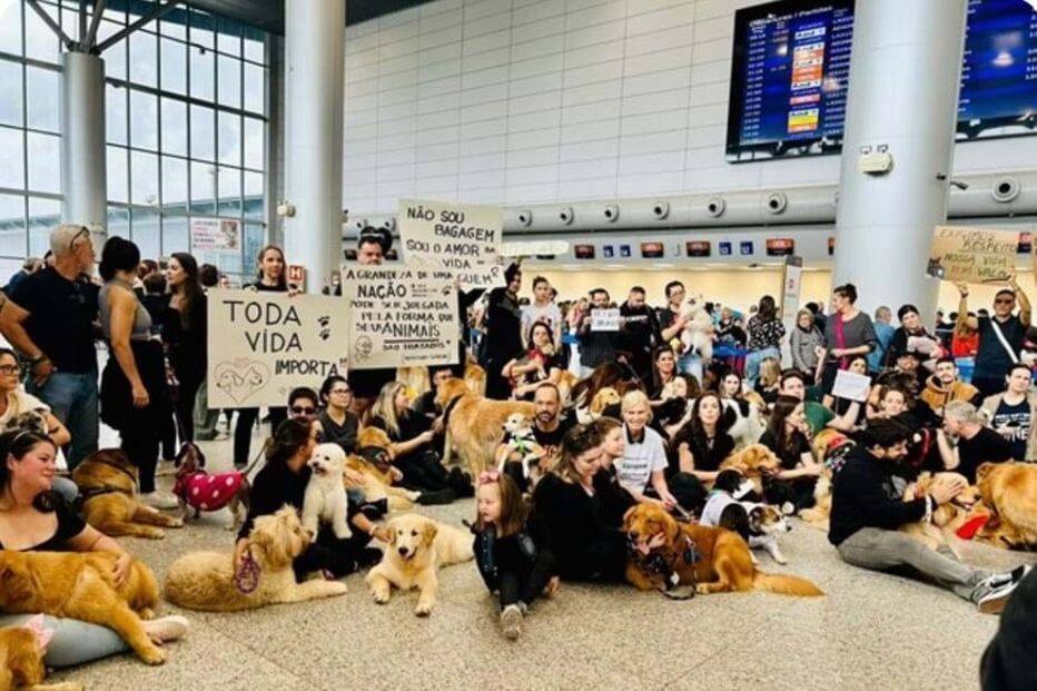 Manifestação em homenagem a 'Joca'