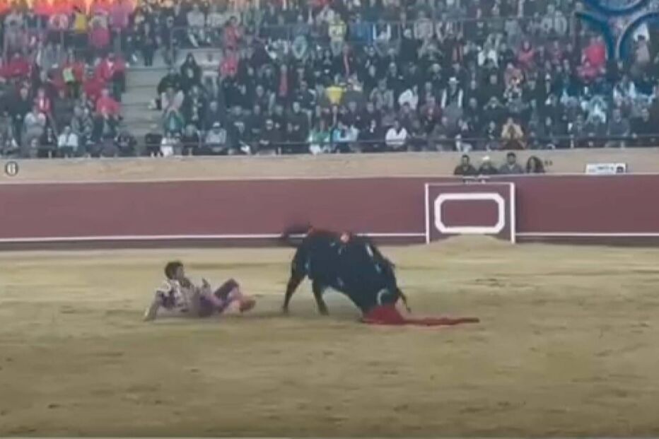 2024-04-30_12_08_05 Comentadores do ‘Noite das Estrelas’ reagem a queda de Cayetano Rivera numa corrida de Touros.jpg