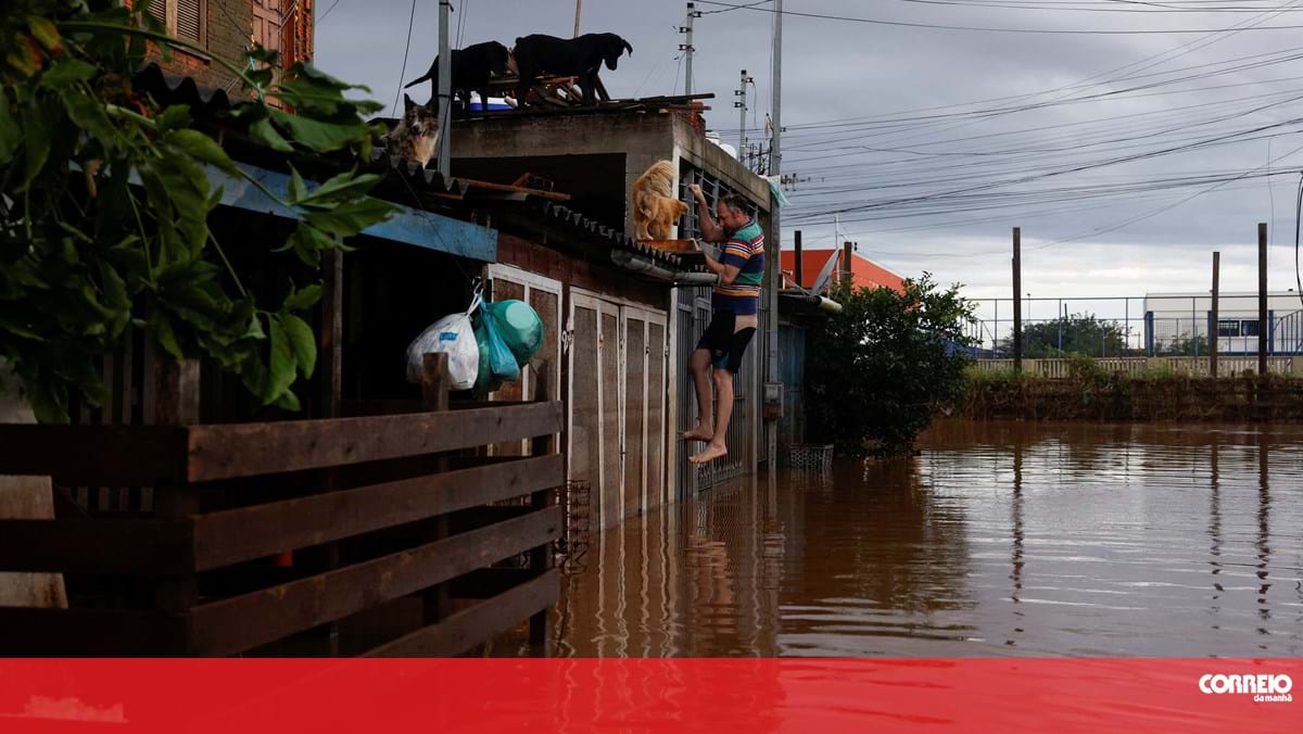 Primeira carga de ajuda humanitária de Portugal para o Brasil seguiu hoje de avião – Mundo