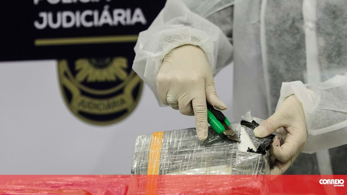 Contentor no Porto de Sines trazia 535 kg de cocaína escondida – Portugal
