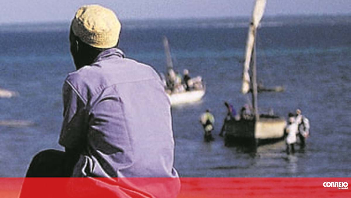 Salário mínimo em Moçambique cresce até 10,53% – África