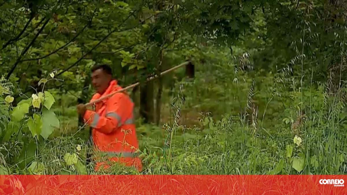 Encontrado corpo do homem que estava desaparecido há 10 dias em Viseu