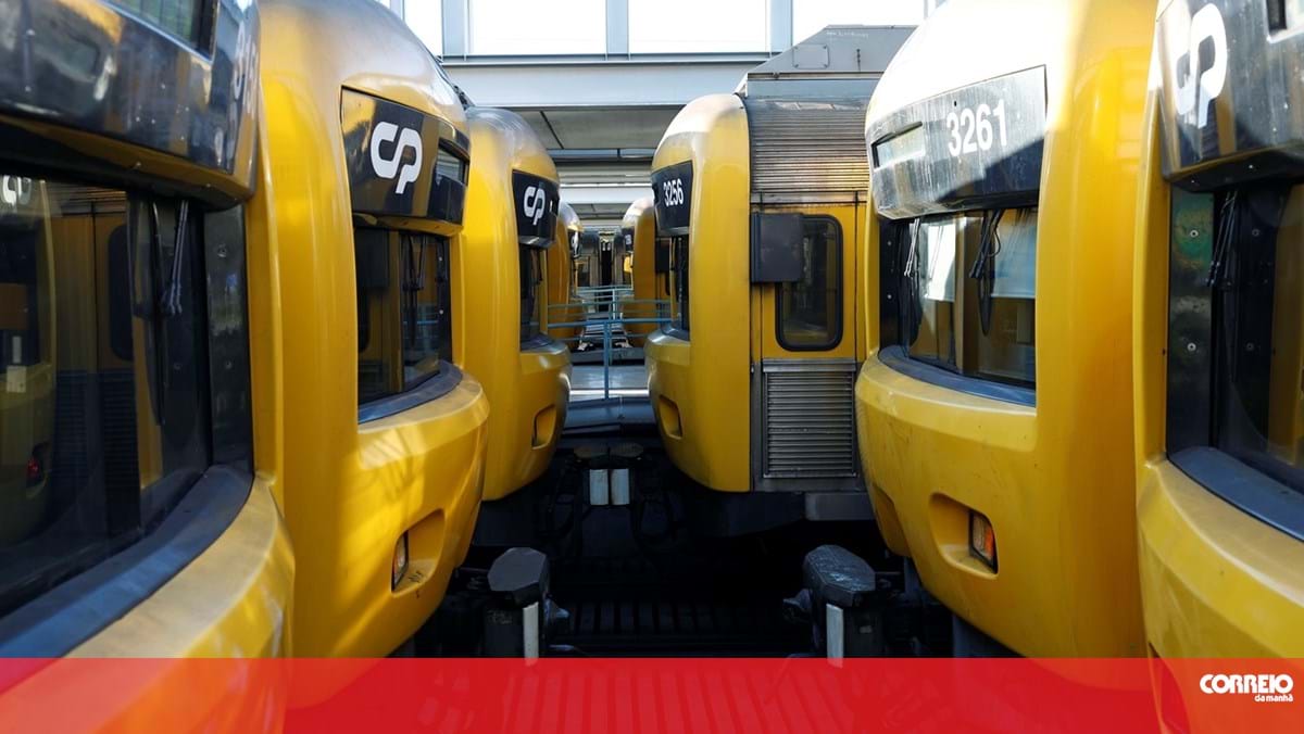 Homem ataca polícias por não ter bilhete de comboio