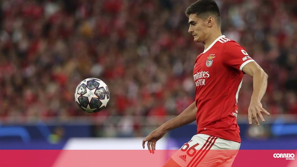 Arsenal interessado em António Silva – Futebol