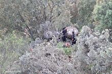 Homem morre em acidente de trator