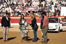 Bárbara Norton de Matos