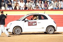 Bárbara Norton de Matos