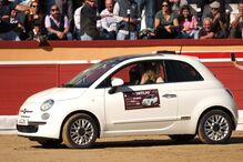 Bárbara Norton de Matos