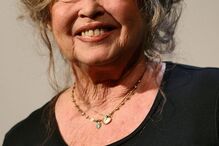 Imagem 9003249.jpg (21380906) (Milenium)