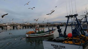 Pescadores voltam a poder capturar sardinhas