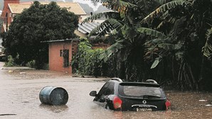 4 dezenas de mortos e 24 mil pessoas sem casa devido às chuvas torrenciais no Brasil