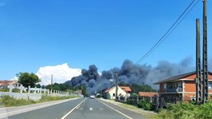 Incêndio destrói empresa de produtos hortícolas na Galiza. Meios portugueses ajudam no combate às chamas