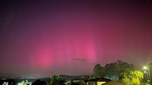 Auroras boreais podem ser novamente vistas já este fim de semana na Europa