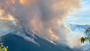 Incêndio florestal em Arouca está em fase de resolução