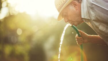 Temperaturas elevadas vão manter-se durante a próxima semana: é preciso beber mais água e sumos sem açúcar