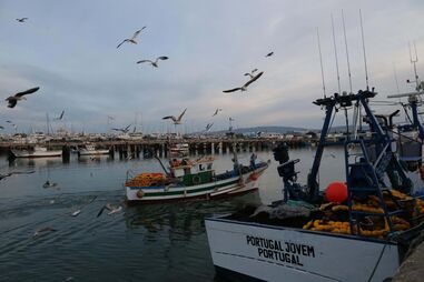 Aumento dos combustíveis dificulta a pesca 