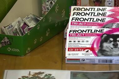 Homem agenda falsa consulta em clínica veterinária e sequestra e espanca funcionária grávida