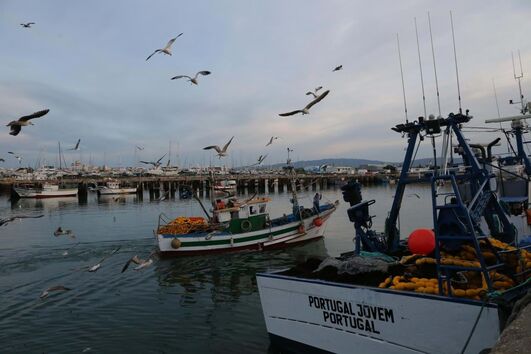 Autarquia e pescadores de Caminha pedem 'medidas excionais' de apoio à pesca devido ao mau tempo