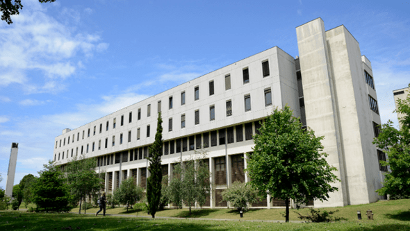 Estudantes pró-Palestina invadem Faculdade de Ciências da Universidade do Porto 