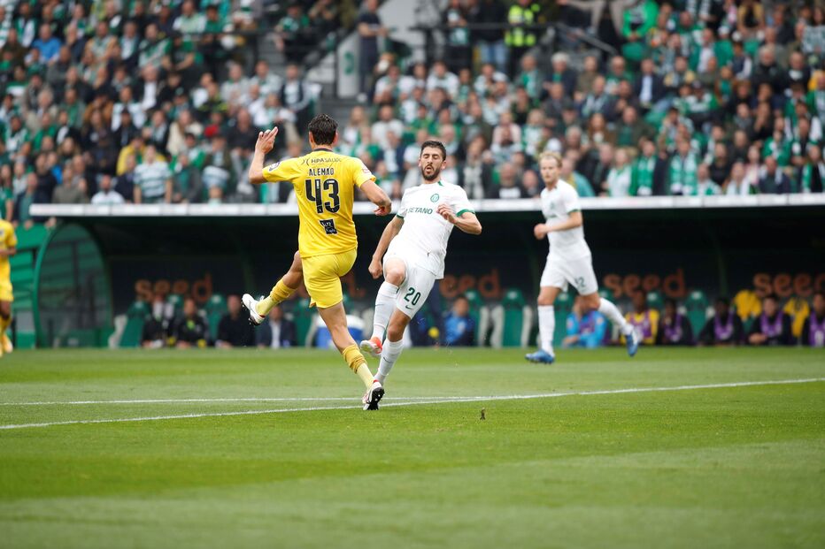 Sporting frente ao Portimonse