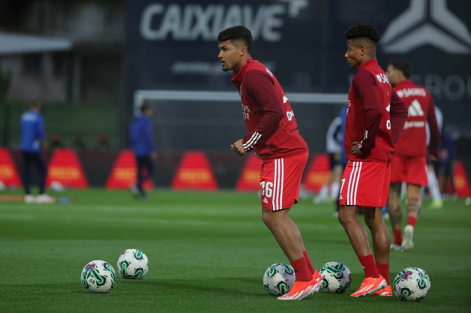Benfica a treinar antes do jogo