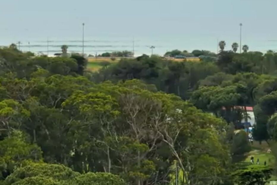 2024-05-07_18_30_21 Captura de ecrã 2024-05-07 183009.jpg