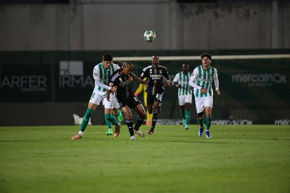 Rio Ave vs Benfica 