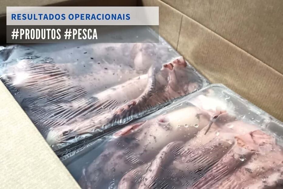 ASAE apreende mais de cinco quilos de pescado congelado em Ílhavo