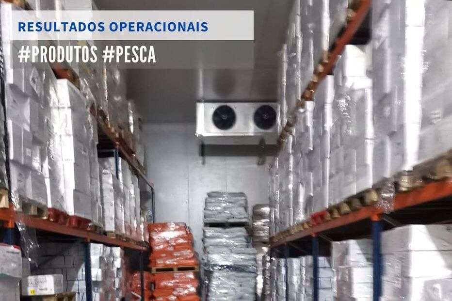 ASAE apreende mais de cinco quilos de pescado congelado em Ílhavo