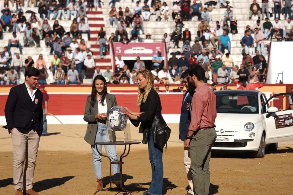 Bárbara Norton de Matos