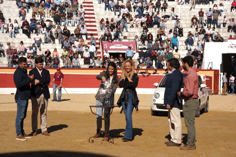 Bárbara Norton de Matos