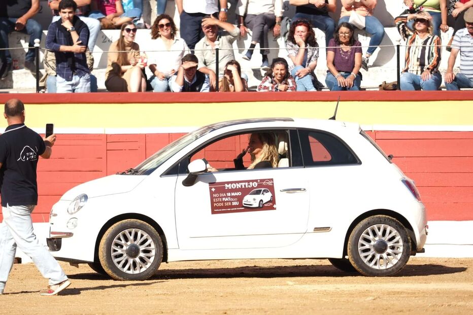 Bárbara Norton de Matos