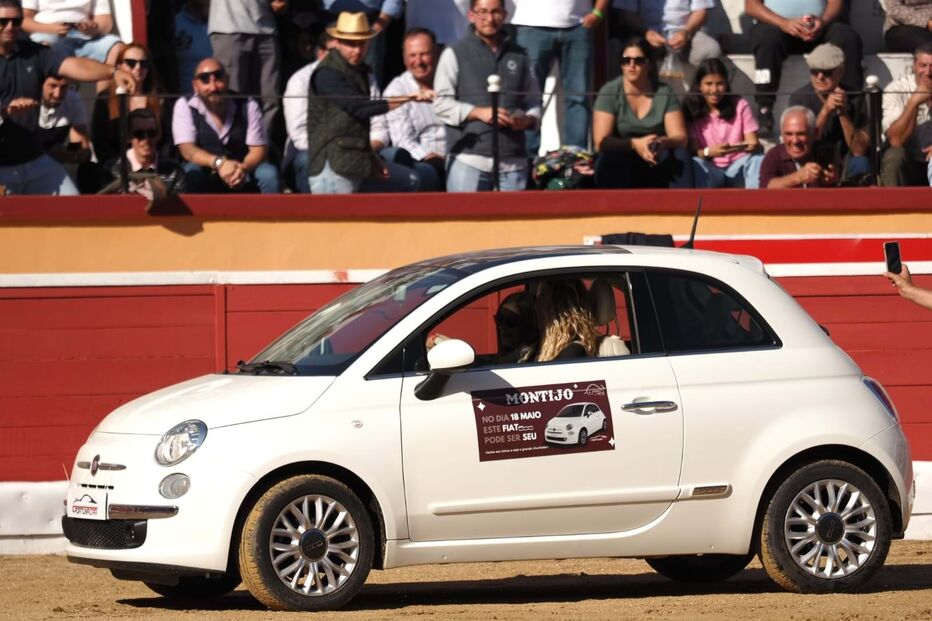 Bárbara Norton de Matos
