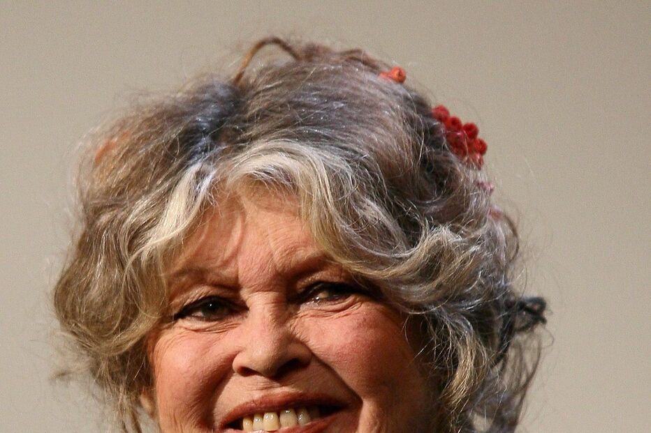 Imagem 9003249.jpg (21380906) (Milenium)