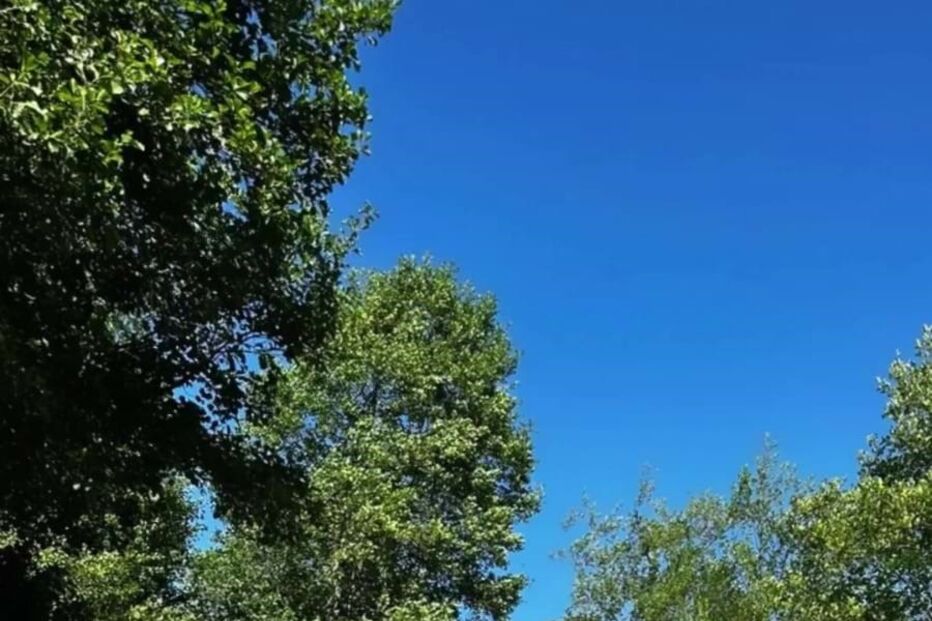 Leandro e Carolina Carvalho