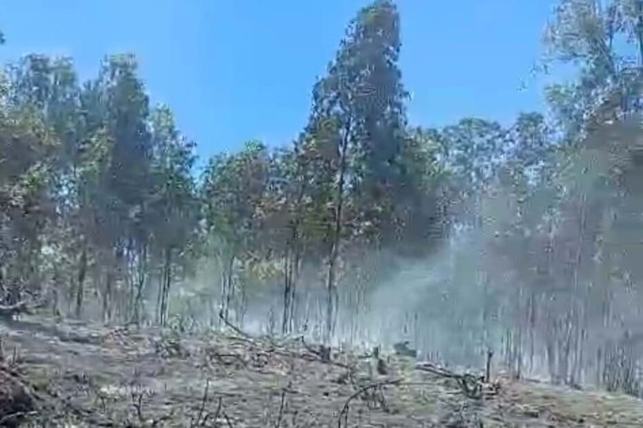 2024-05-31_14_05_08 WhatsApp Image 2024-05-31 at 13.17.19 (3).jpg