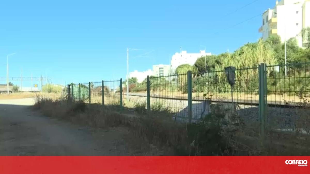Restabelecida circulação na Linha do Algarve após atropelamento mortal 