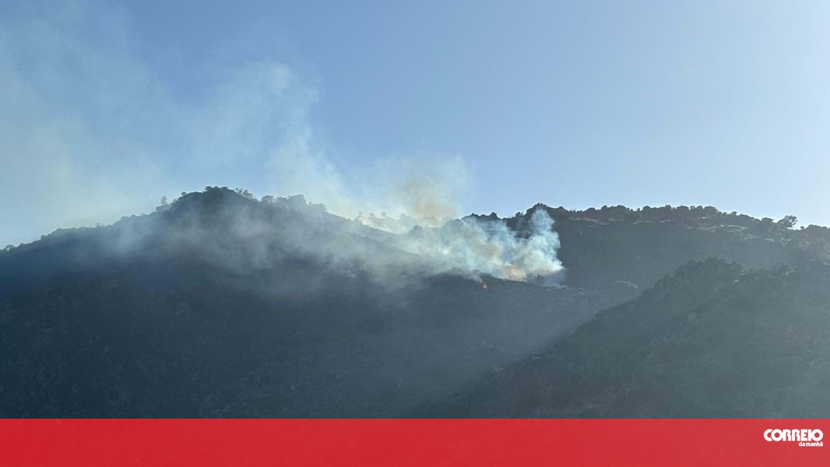 Três meios aéreos combatem incêndio em Torre de Moncorvo – Portugal