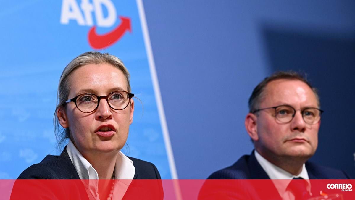 Aliança de organizações alemã lança campanha para proibir partido de extrema-direita AfD