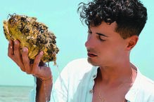 José Castelo Branco e Brunny Fernandes têm mantido algumas conversas públicas nas redes sociais desde 2020, muitas delas de cariz sexual. O cantor e historiador que agora vive na Alemanha, admite que passou férias com familiares do ‘Conde’, mas não conseguiu desmentir que mantém uma relação amorosa com o marchand d’art 