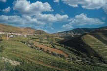 2024-06-28_12_06_55 foto 1_A7309214-Editar.jpg