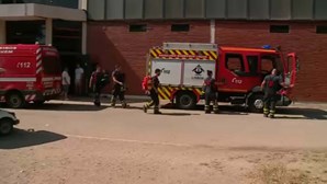 Três feridos graves após queda de bancada no estádio universitário de Lisboa