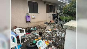Mulher de 60 anos vive no meio do lixo com mais de 40 animais dentro de casa em Castelo Branco