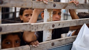 Mais de oito mil crianças menores de cinco anos tratadas por subnutrição aguda em Gaza 