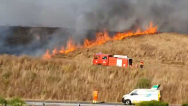 Incêndio junto à A2 em Aljustrel mobiliza mais de 100 operacionais e seis meios aéreos. Veja as imagens