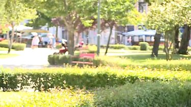 Homem esfaqueado na Praça da República no Porto
