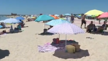 Água "gelada" não afasta veraneantes da praia: famílias aproveitam calor no Algarve
