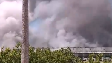 Incêndio deflagra há mais de dez horas em fábrica de produtos hortícolas no Marco de Canaveses